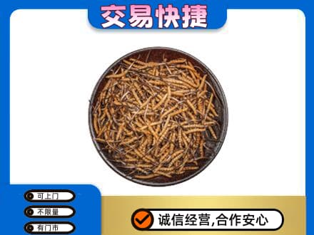 曲靖沾益区高价回收散虫草