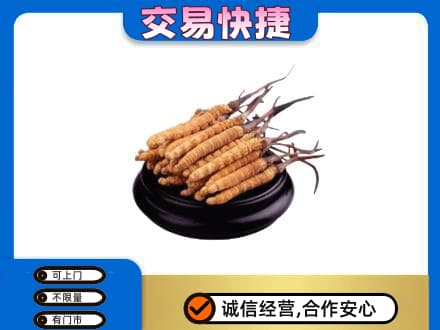 曲靖沾益区礼品回收散虫草.jpg